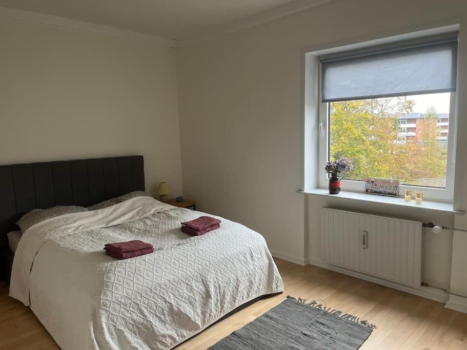 Stor Og Lys Lejlighed I Hjertet Af Holstebro Zewnętrze zdjęcie