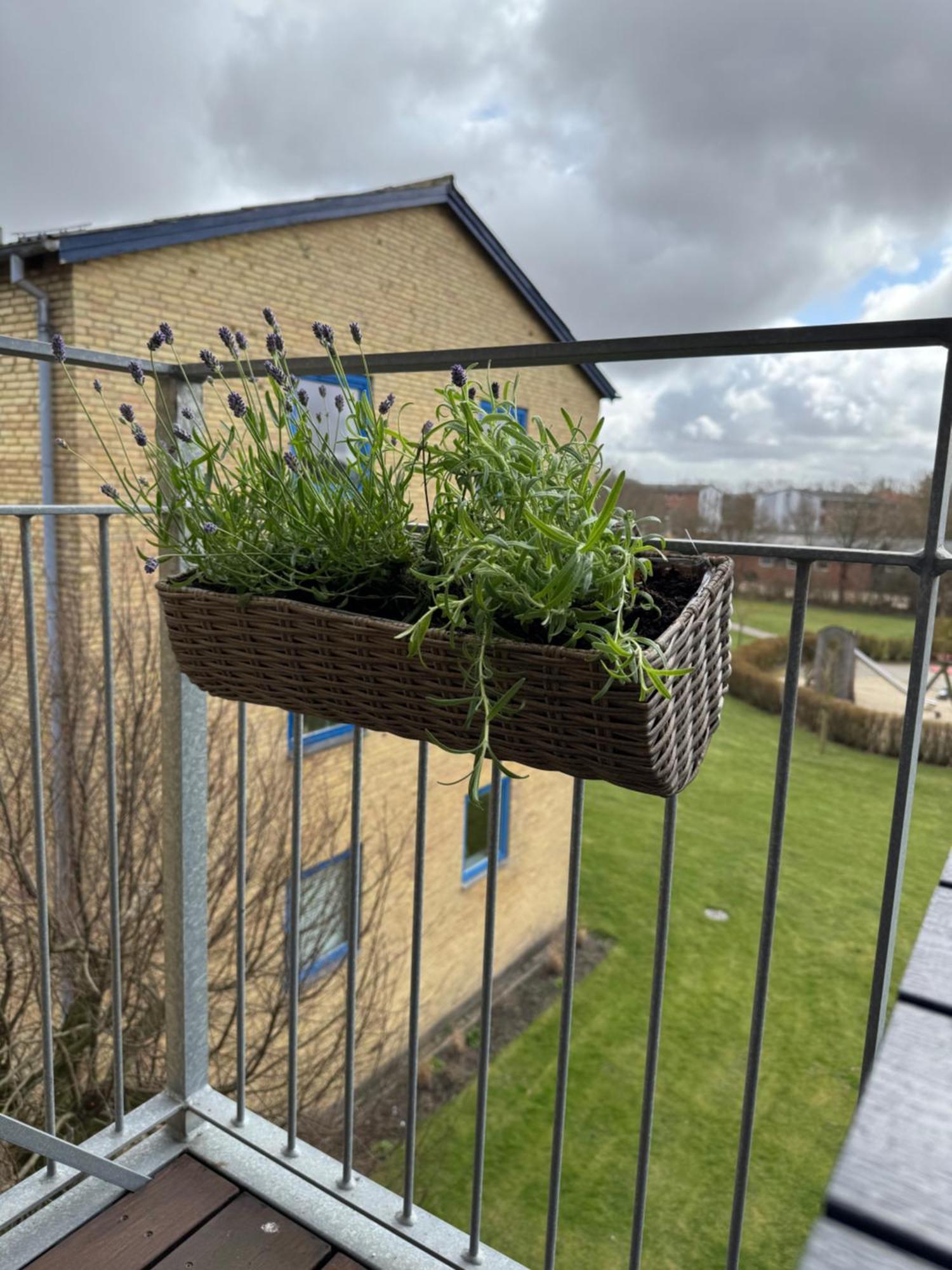 Stor Og Lys Lejlighed I Hjertet Af Holstebro Zewnętrze zdjęcie